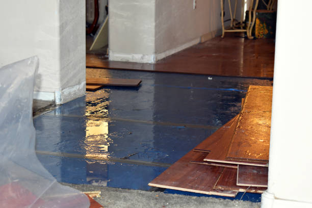 Professional Burst Pipe Cleanup technician working in Republic, WA