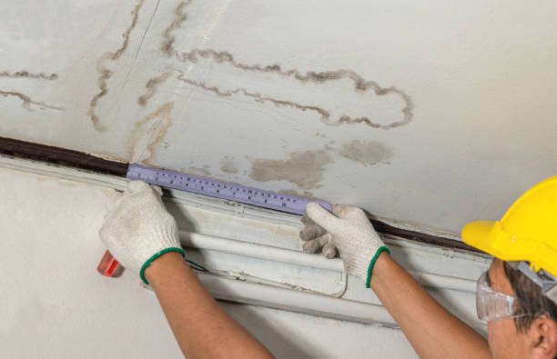 Reliable Burst Pipe Cleanup contractor in Republic, WA by Water Damage Irwin